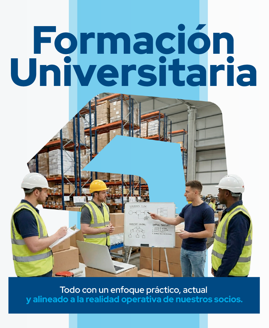 Formación universitaria
